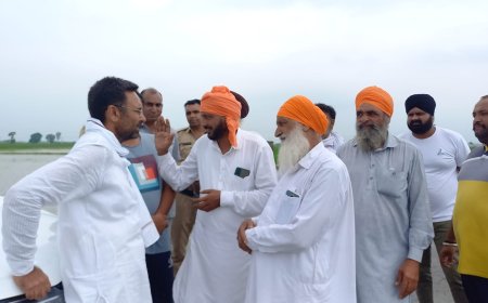 बारिश के पानी से हुए जलभराव के कारण हुए नुकसान