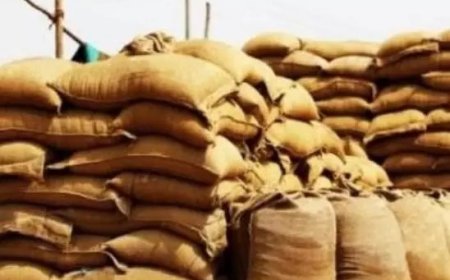 उबले चावल को लेकर सरकार का बड़ा फैसला, तत्काल प्रभाव से 20 प्रतिशत निर्यात शुल्क लगाया