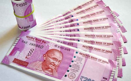 दो हजार के नोटों की वापसी को लेकर RBI ने दी बड़ी जानकारी, अब तक इतने रुपए बैंकिंग सिस्टम में आए वापस