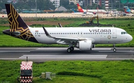 विस्तारा फ्लाइट में शख्स ने एयर होस्टेस को जबरन लगाया गले, लेनी चाही किस, आरोपी गिरफ्तार