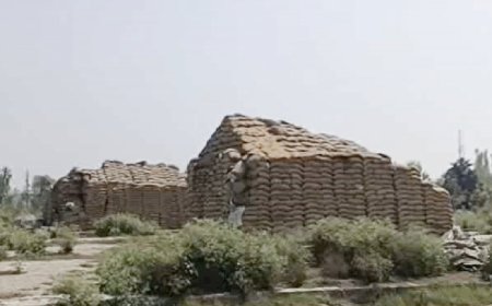 सात राईस मिलरों से 244 गाडिय़ां चावल बकाया, सरकार को लग सकता है 23 करोड़ का फटका