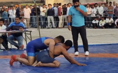 श्री जगदम्बा देवी पंखा दंगल कमेटी (पंजीकृत) की देखरेख एवं प्रबंधन में होने वाला यह 73 वां वार्षिक दंगल होगा