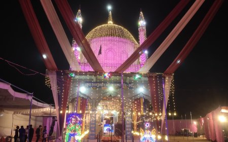 शोभायात्रा मे कलंदर साहिब की शान मे पंखा निकाला गया