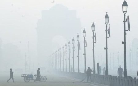 IMD ने जारी किया ‘रेड अलर्ट’, उत्तर भारत में कोहरा और ठंड जारी रहने की संभावना