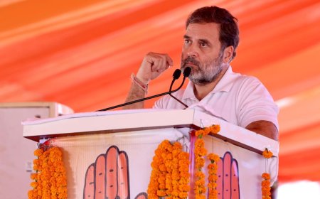 कांग्रेस हरियाणा को क्लीन स्वीप करने जा रही है : राहुल गांधी