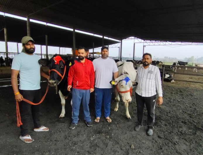 करनाल की गाय सोनी ने किया कमाल, 24 घंटे में 87.7 लीटर दूध देकर ऐशिया में स्थापित किया क्रीतिमान