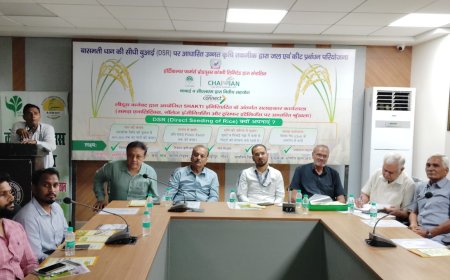 धान की सीधी बिजाई से ग्रीनहाउस गैसों का करीब 35 प्रतिशत उत्सर्जन होगा कम 